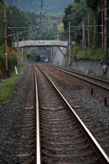 嵯峨野