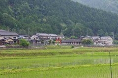 鳥居のある風景