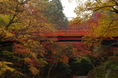 兵庫県養父市／養父神社　い