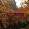 兵庫県養父市／養父神社　い