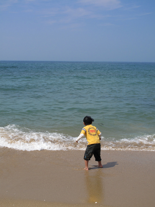 海と戦う