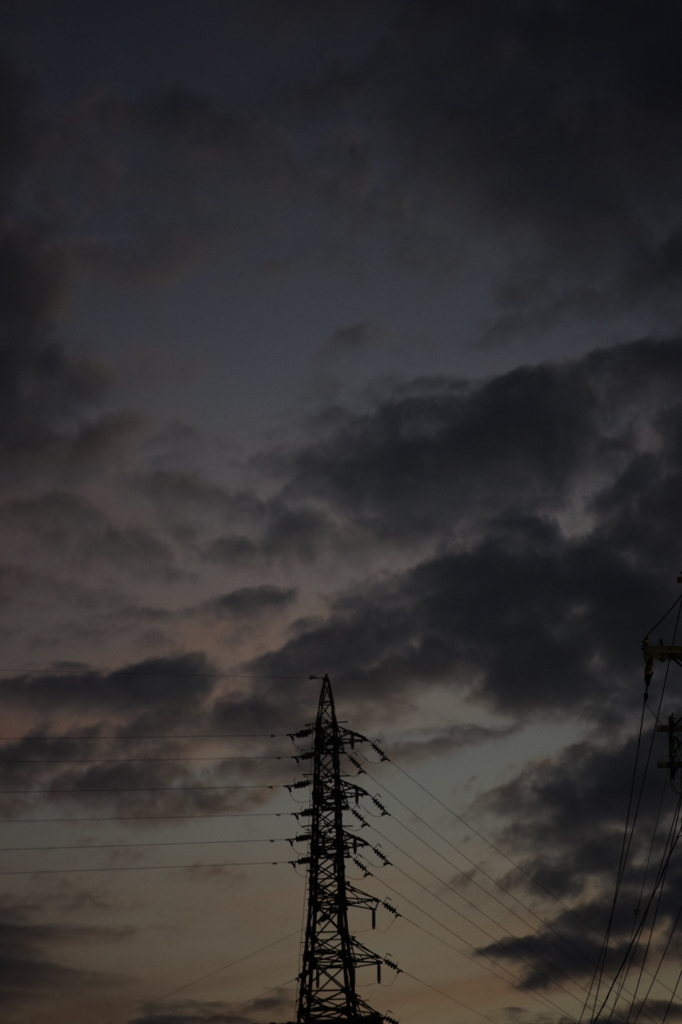 散歩写真3