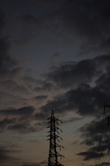 散歩写真3