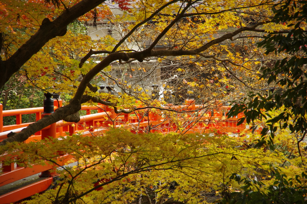 兵庫県養父市／養父神社　り