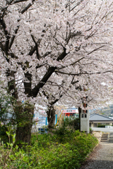 さんぽ道