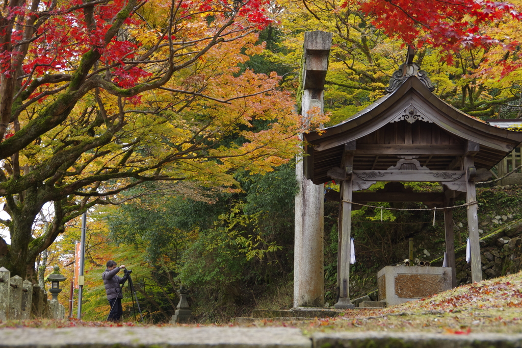 兵庫県養父市／養父神社　ぬ　