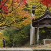 兵庫県養父市／養父神社　ぬ　