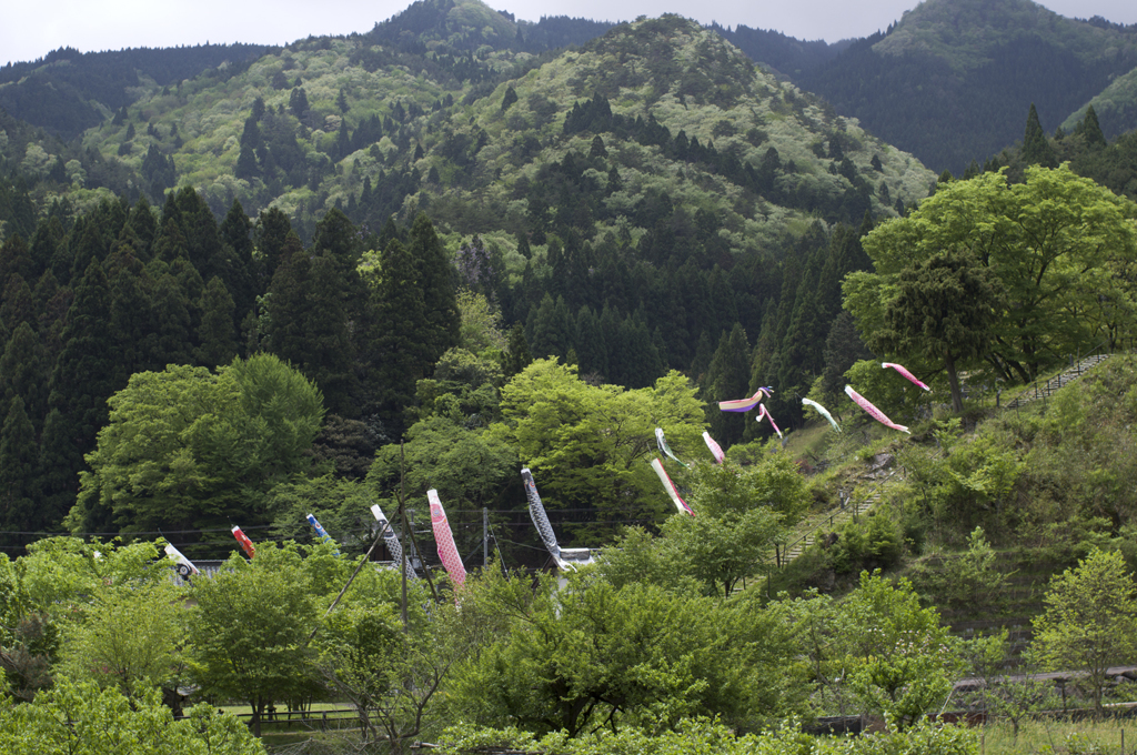 五月の風