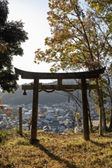 鳥居からの風景