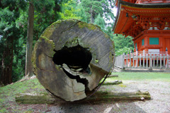 妙見三重塔と妙見杉
