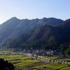 桜堤