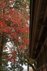 兵庫県養父市／養父神社　と