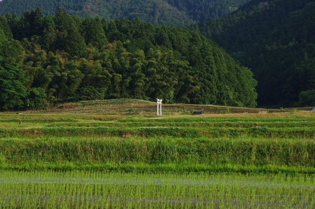 鳥居のある風景