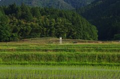 鳥居のある風景