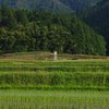 鳥居のある風景