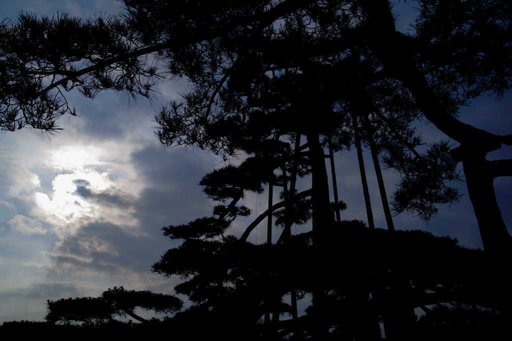 唐崎の夜明け
