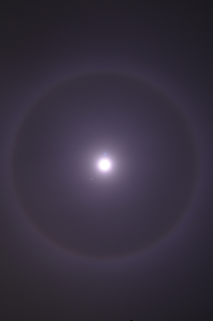 Flash Circle
