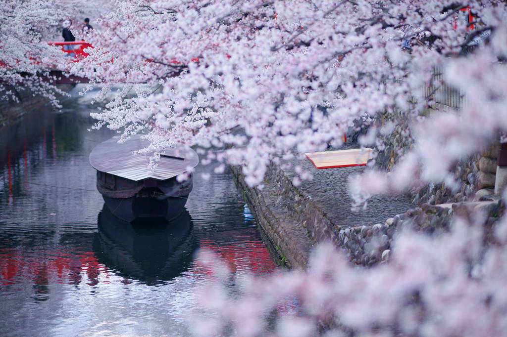 芭蕉の宴
