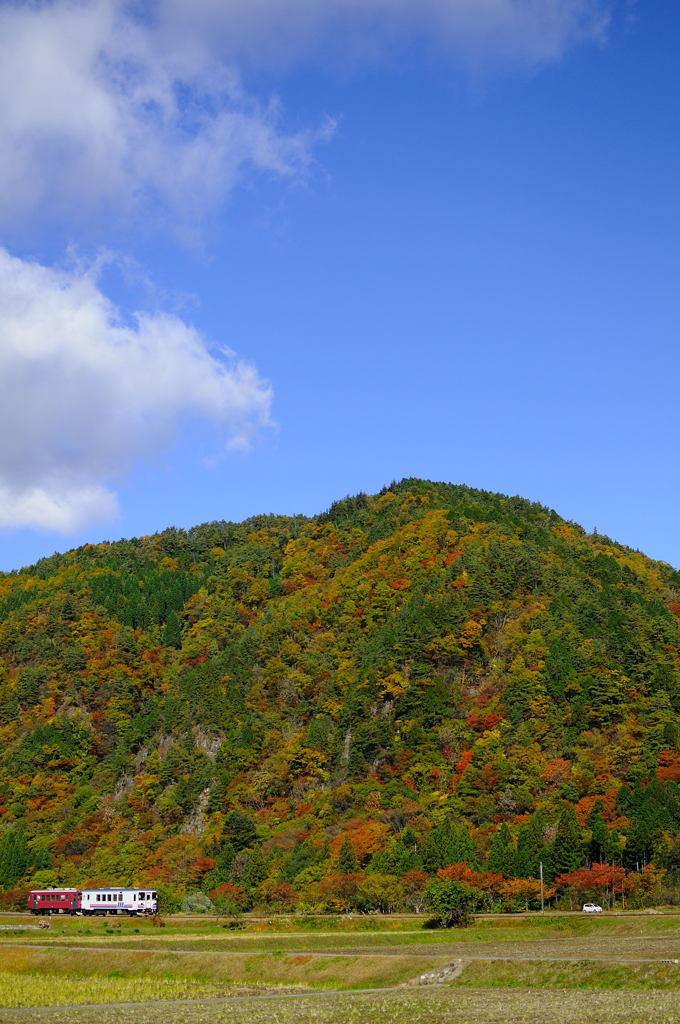 紅の葉　囁きの一服