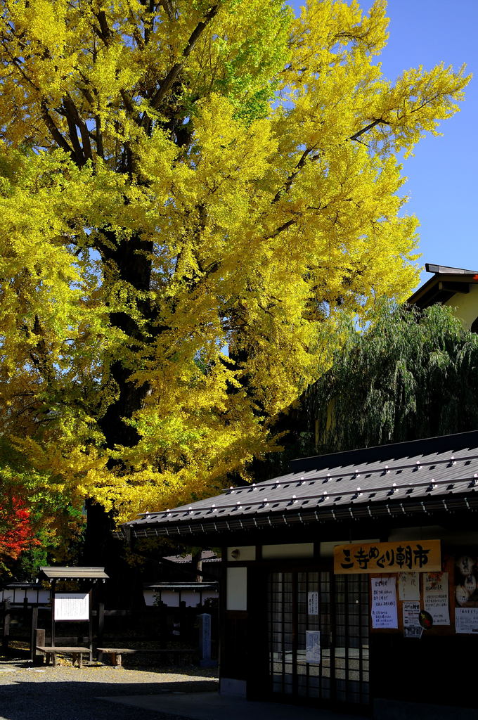 神香の古川