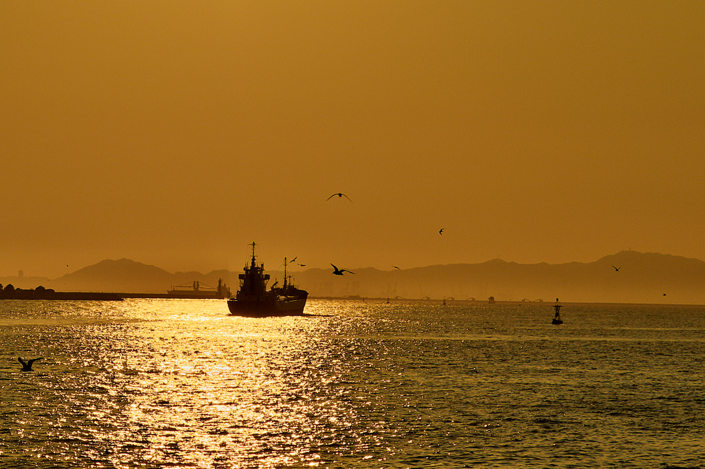 堺浜から六甲の山並みを見て