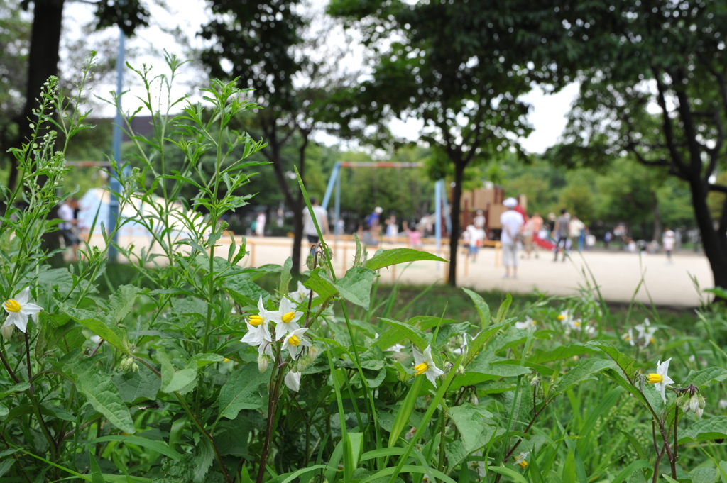 休日×遊具公園×父親