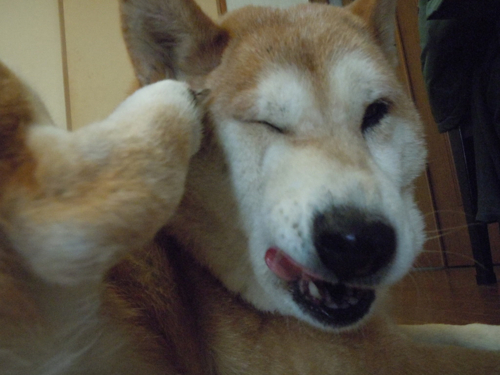 キラッ☆