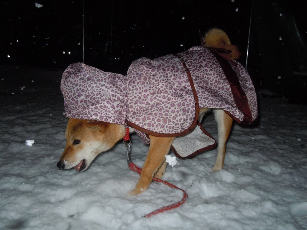 雪ん子