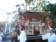 DSCN6550