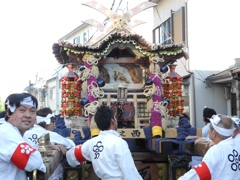 DSCN6501