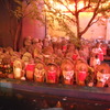 DSCN3083