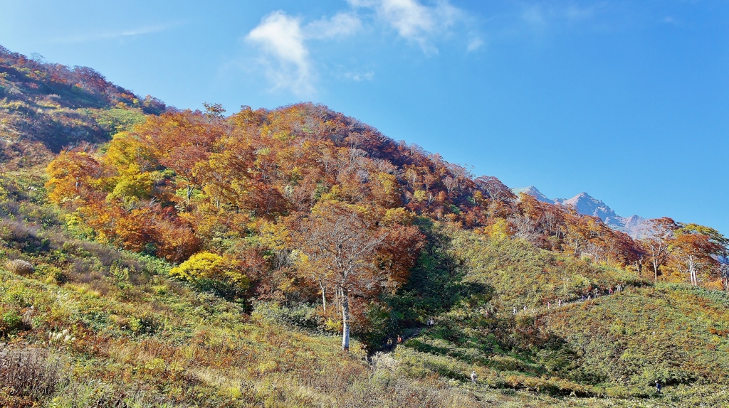 谷川岳天神平01-2