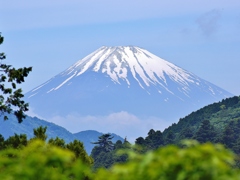 富士箱根の旅14