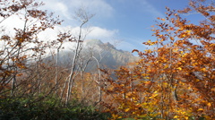 谷川岳天神平13