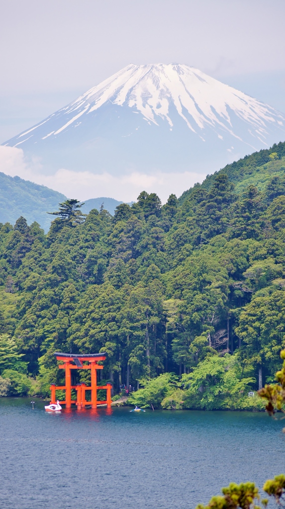 富士箱根の旅7