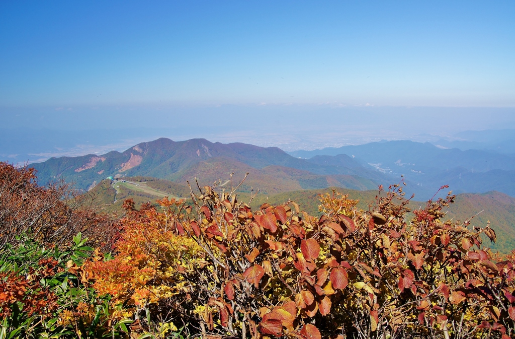 蔵王連峰の秋5