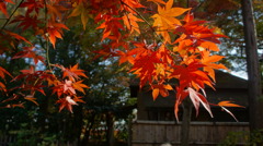 本土寺の紅葉16