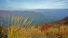 谷川岳天神平12