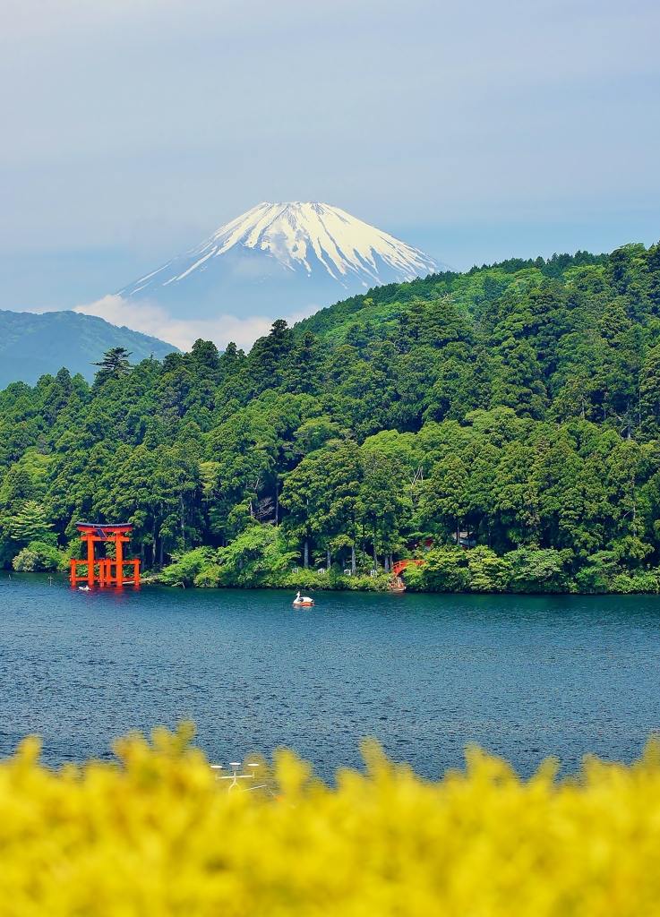 富士箱根の旅4