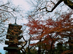 池上本門寺