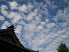秋の雲
