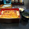 仙見のうな重