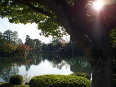 霞ヶ池（兼六園）