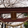 蒲田八幡神社の桜