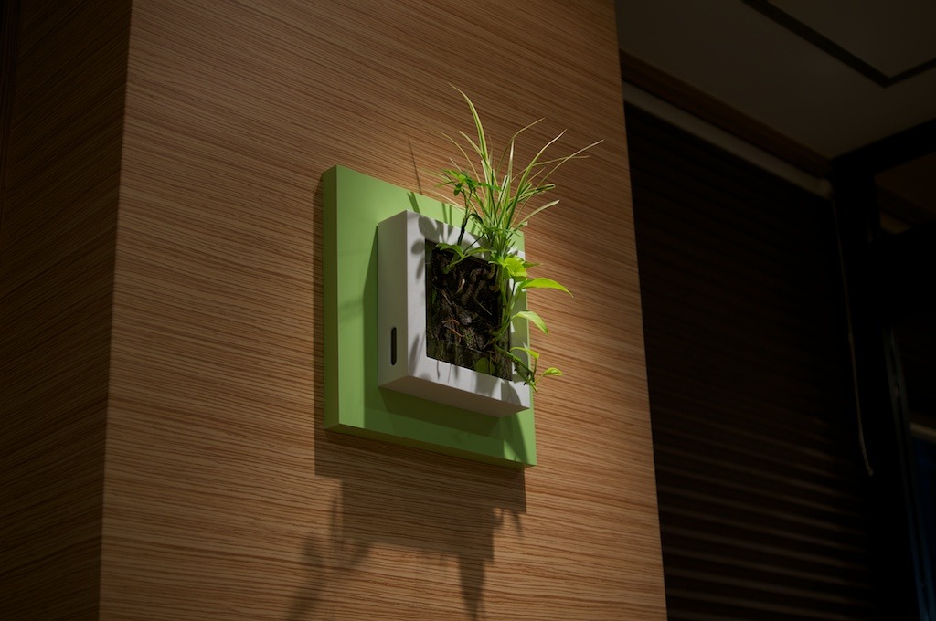 Wall Planter