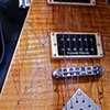 DEAN V Spalted Maple