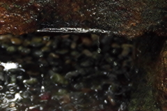水溢