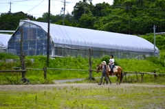 田舎を満喫