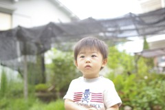 おいっこ