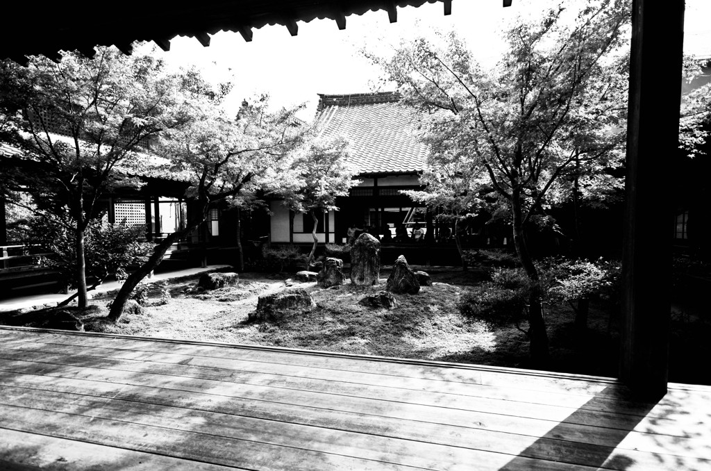 潮音庭